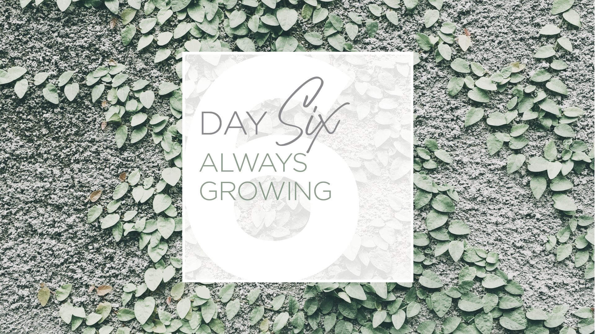 21 Days of Prayer — Social Media Graphics — image 8