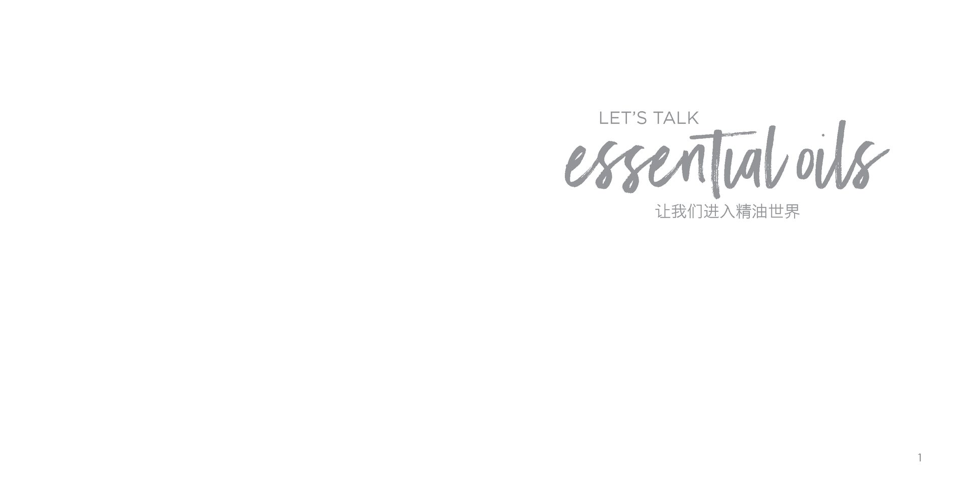 Let's Talk Book Series — Essential Oils China — image 3