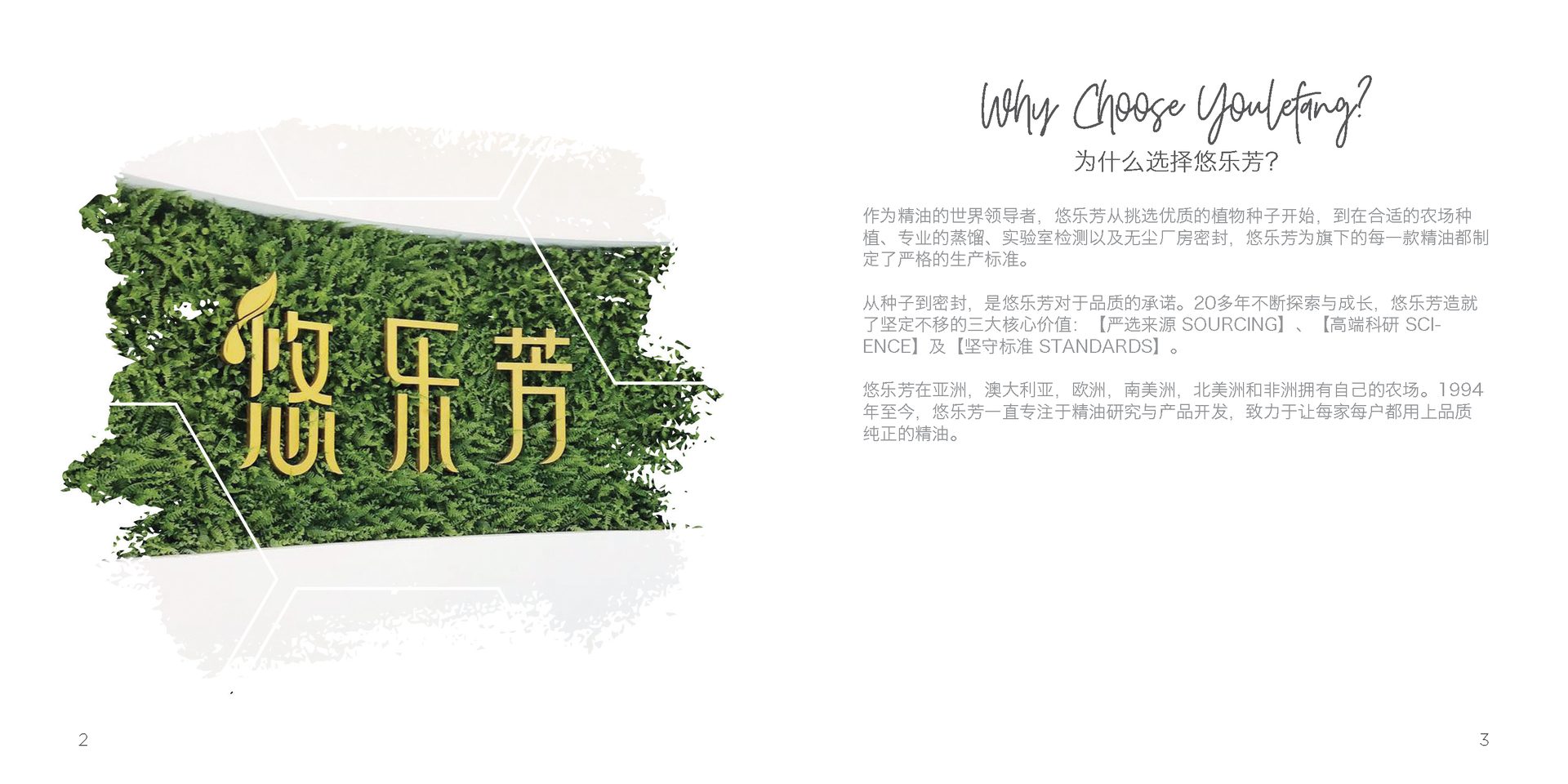 Let's Talk Book Series — Essential Oils China — image 4