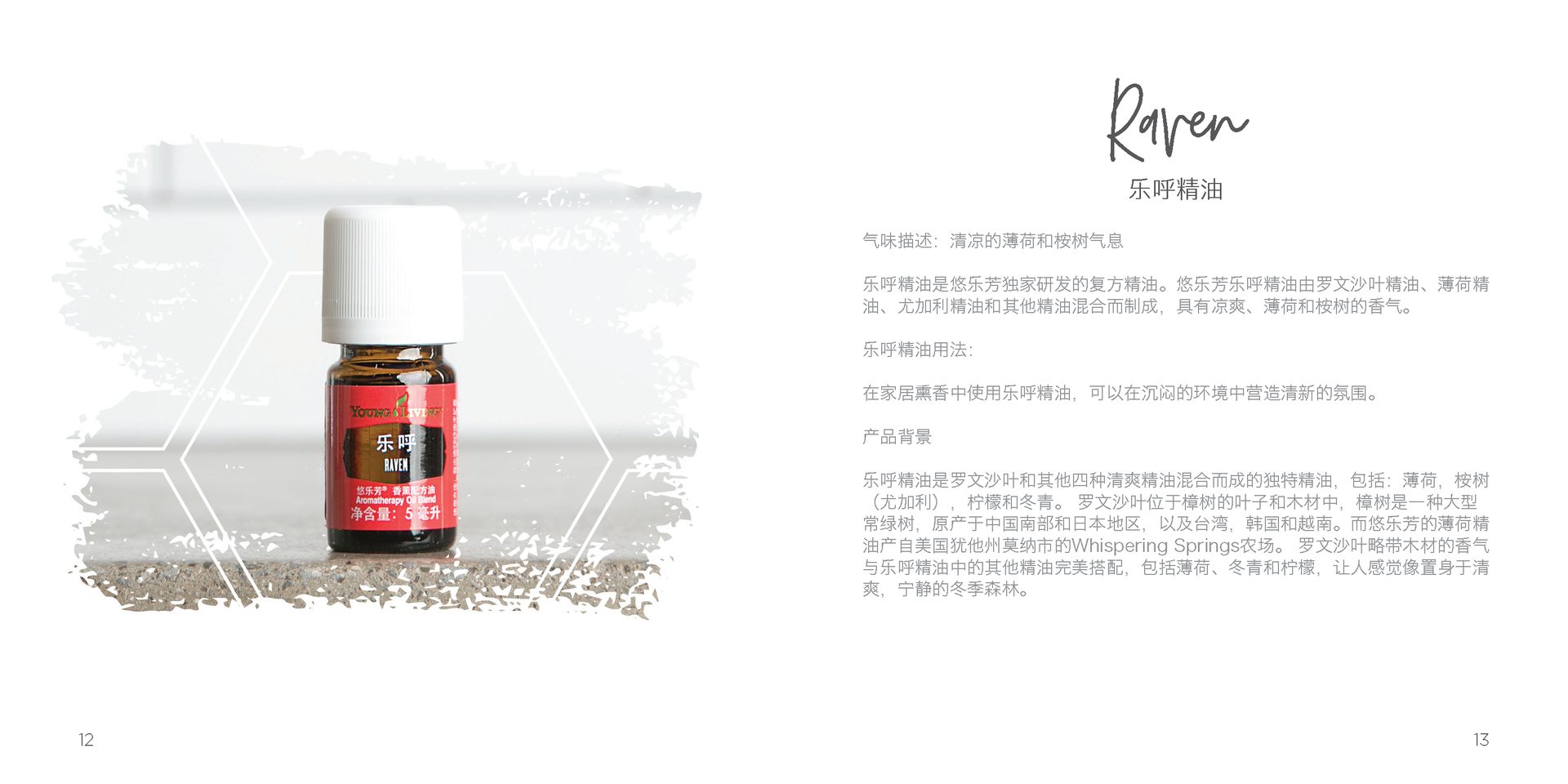 Let's Talk Book Series — Essential Oils China — image 9