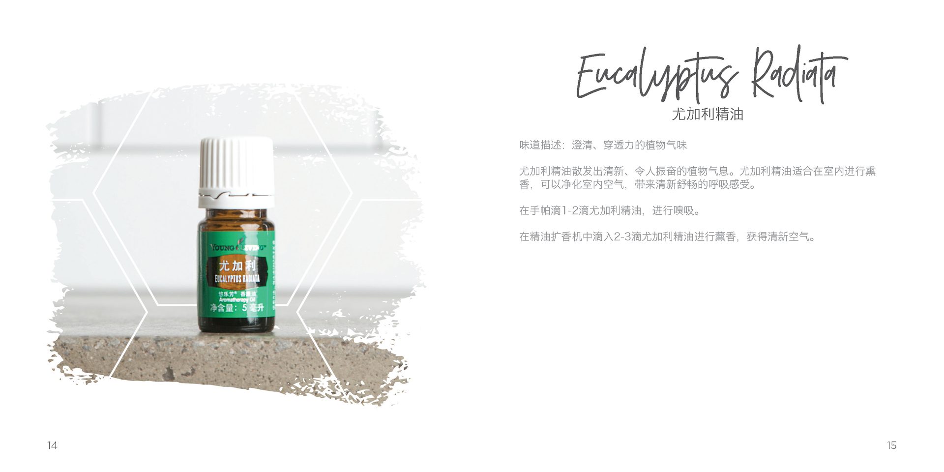 Let's Talk Book Series — Essential Oils China — image 10