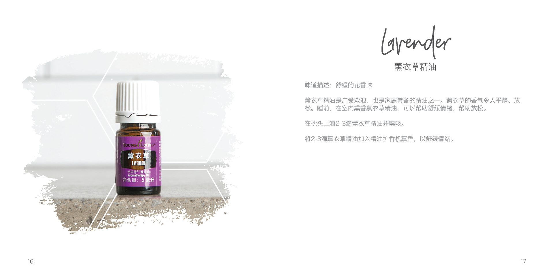 Let's Talk Book Series — Essential Oils China — image 11