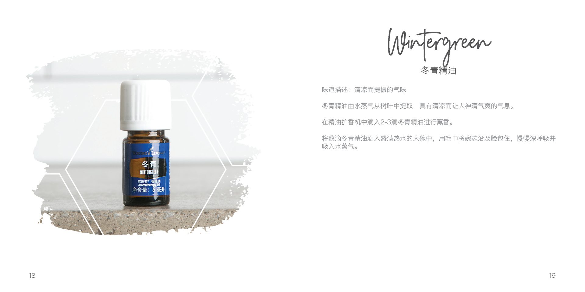 Let's Talk Book Series — Essential Oils China — image 12