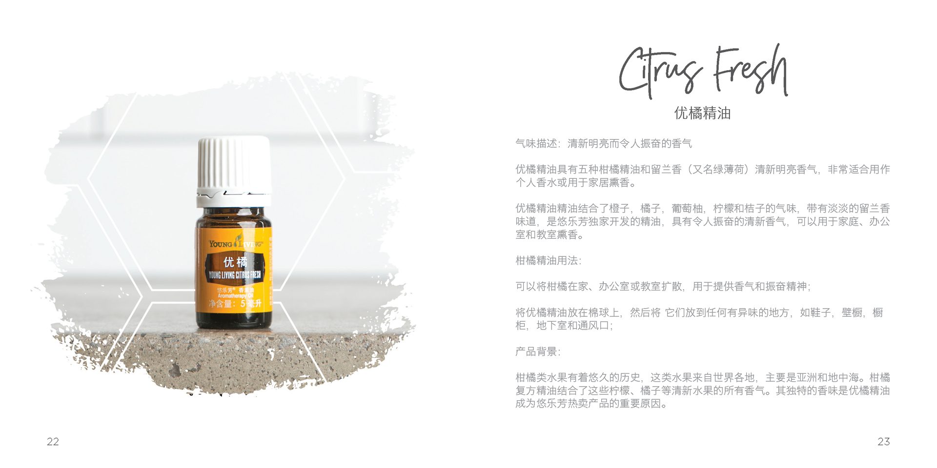 Let's Talk Book Series — Essential Oils China — image 14