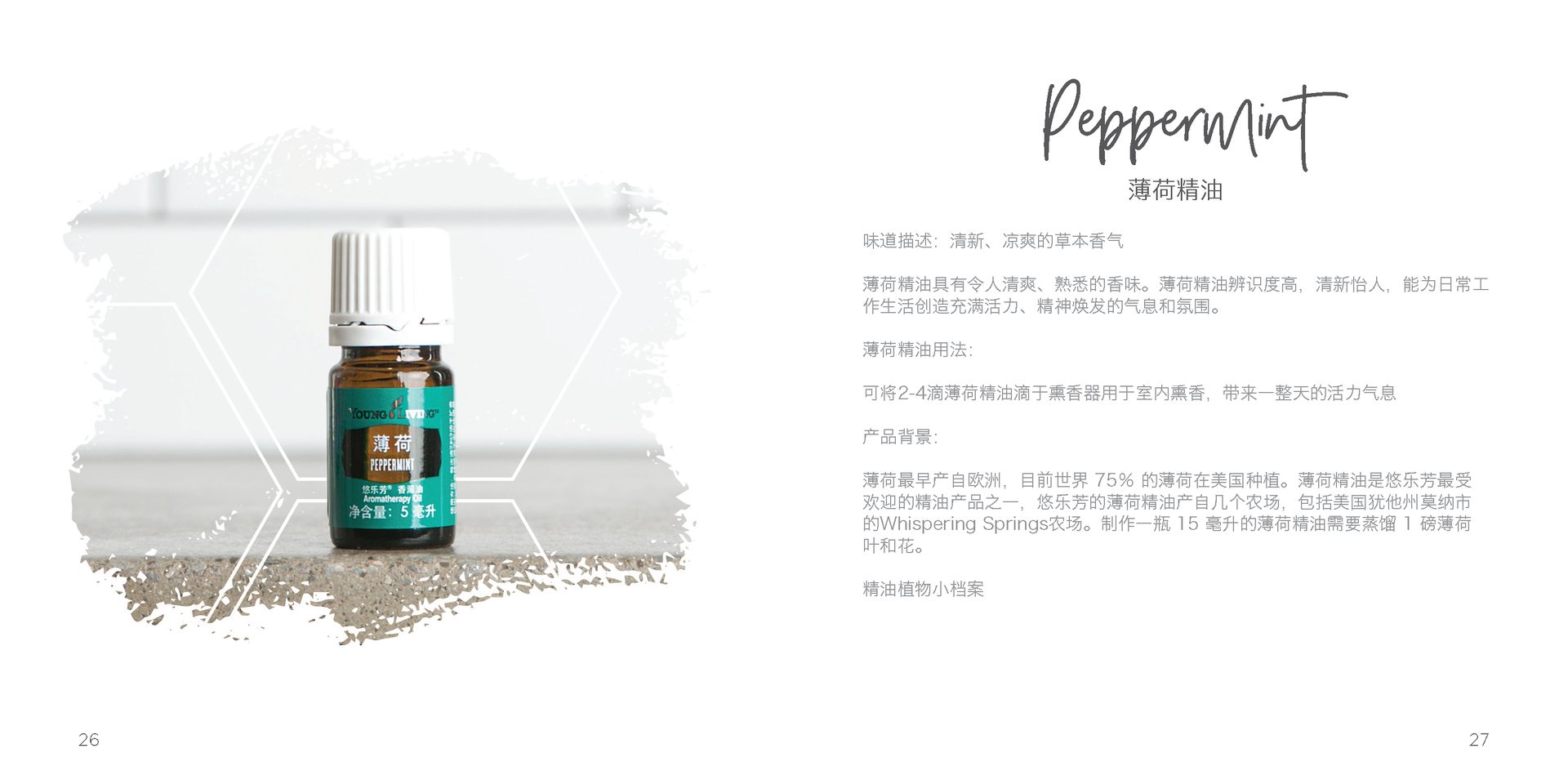 Let's Talk Book Series — Essential Oils China — image 16