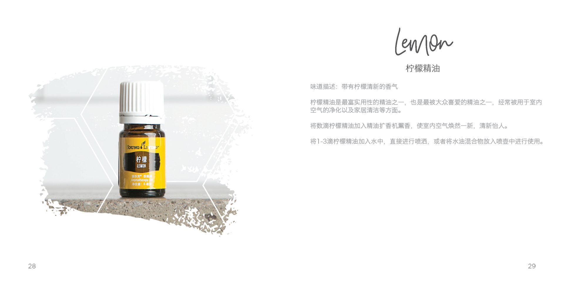 Let's Talk Book Series — Essential Oils China — image 17