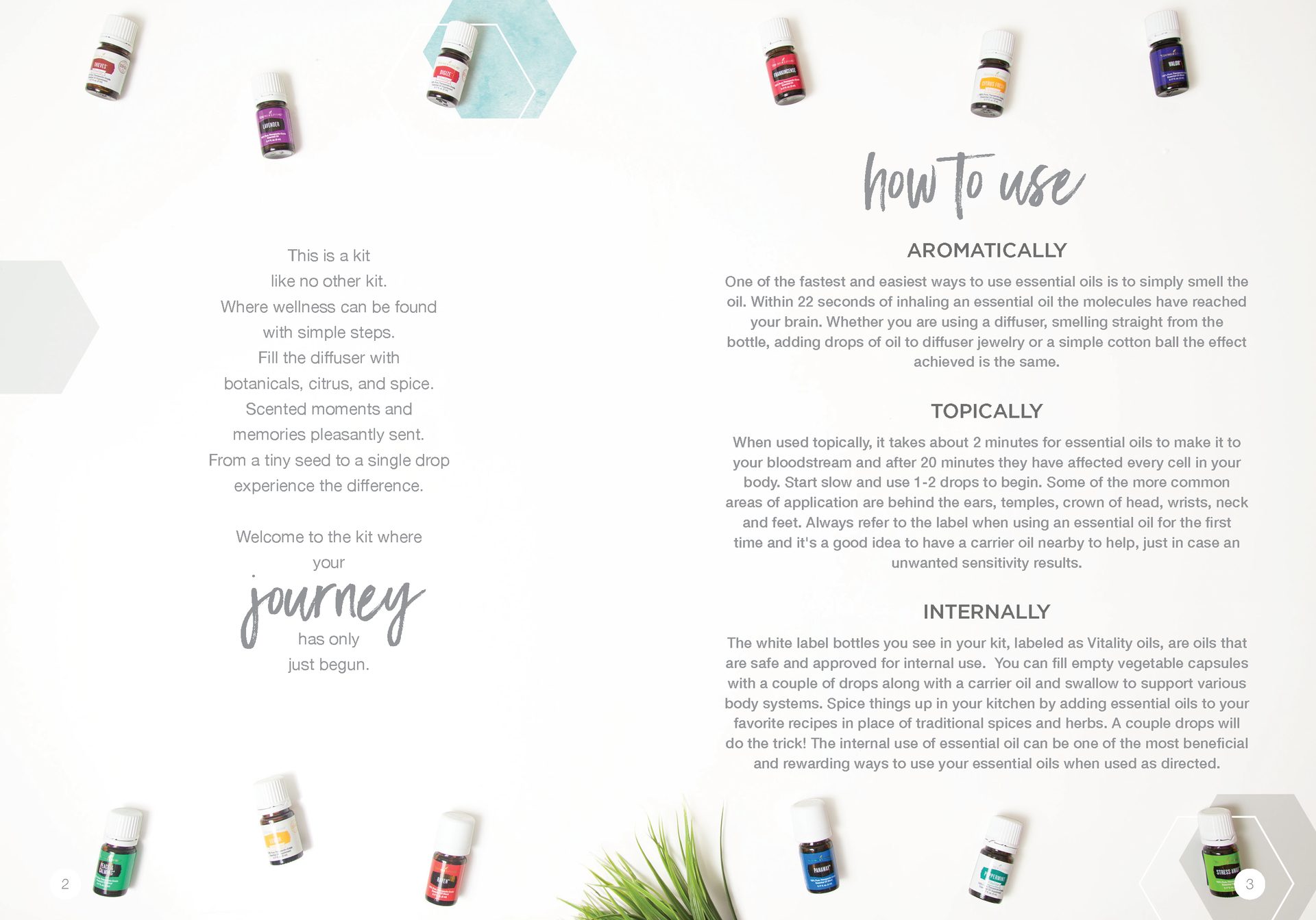 Let's Talk Book Series — Essential Oils — image 4