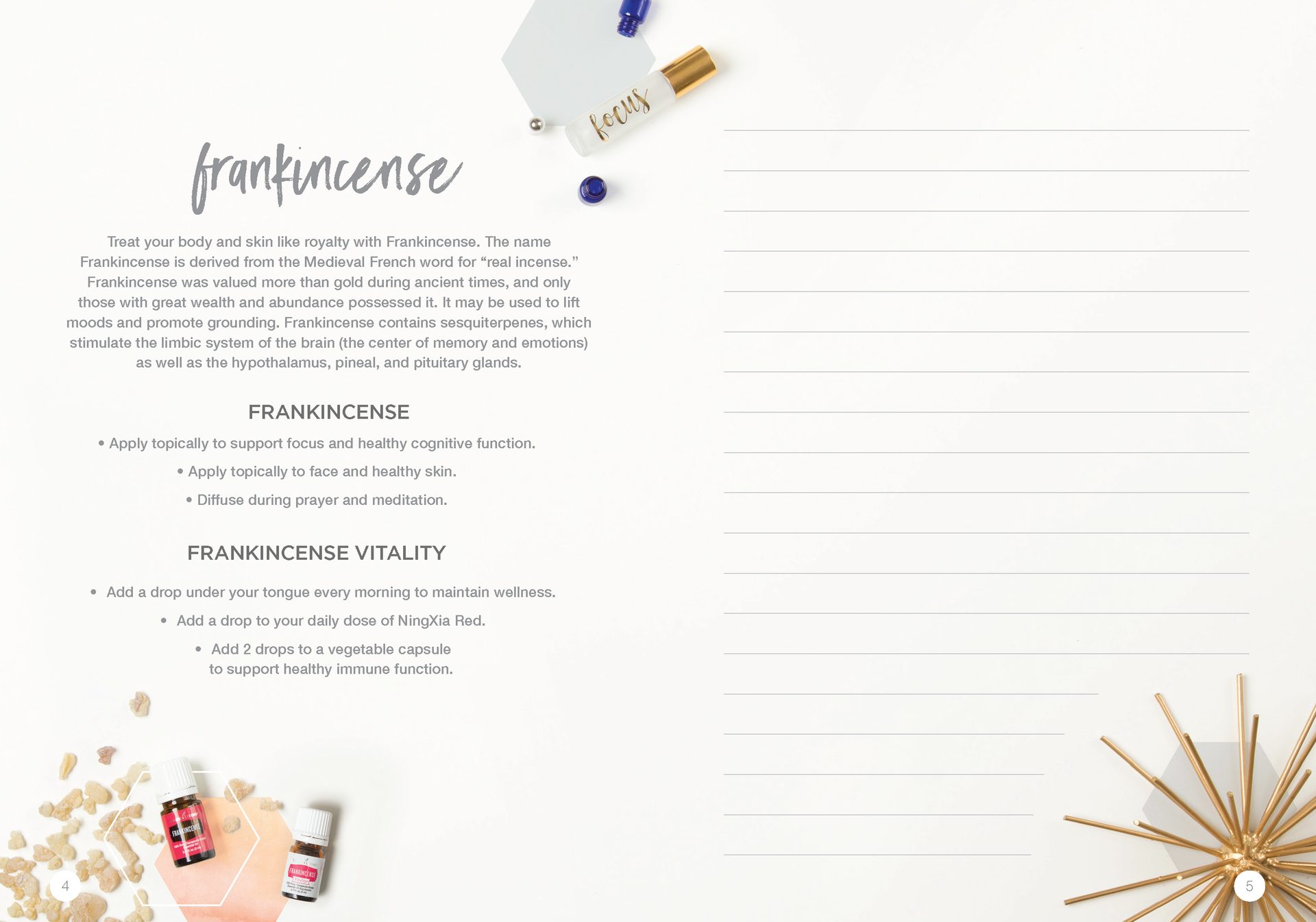 Let's Talk Book Series — Essential Oils — image 5