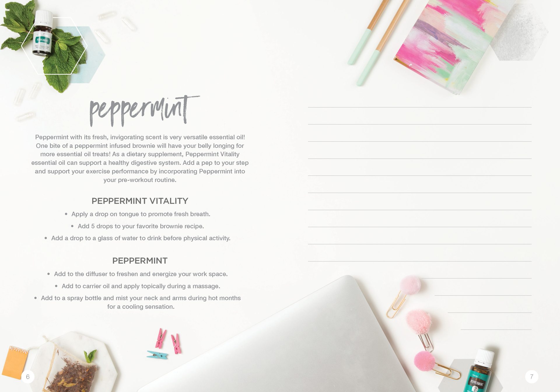 Let's Talk Book Series — Essential Oils — image 6