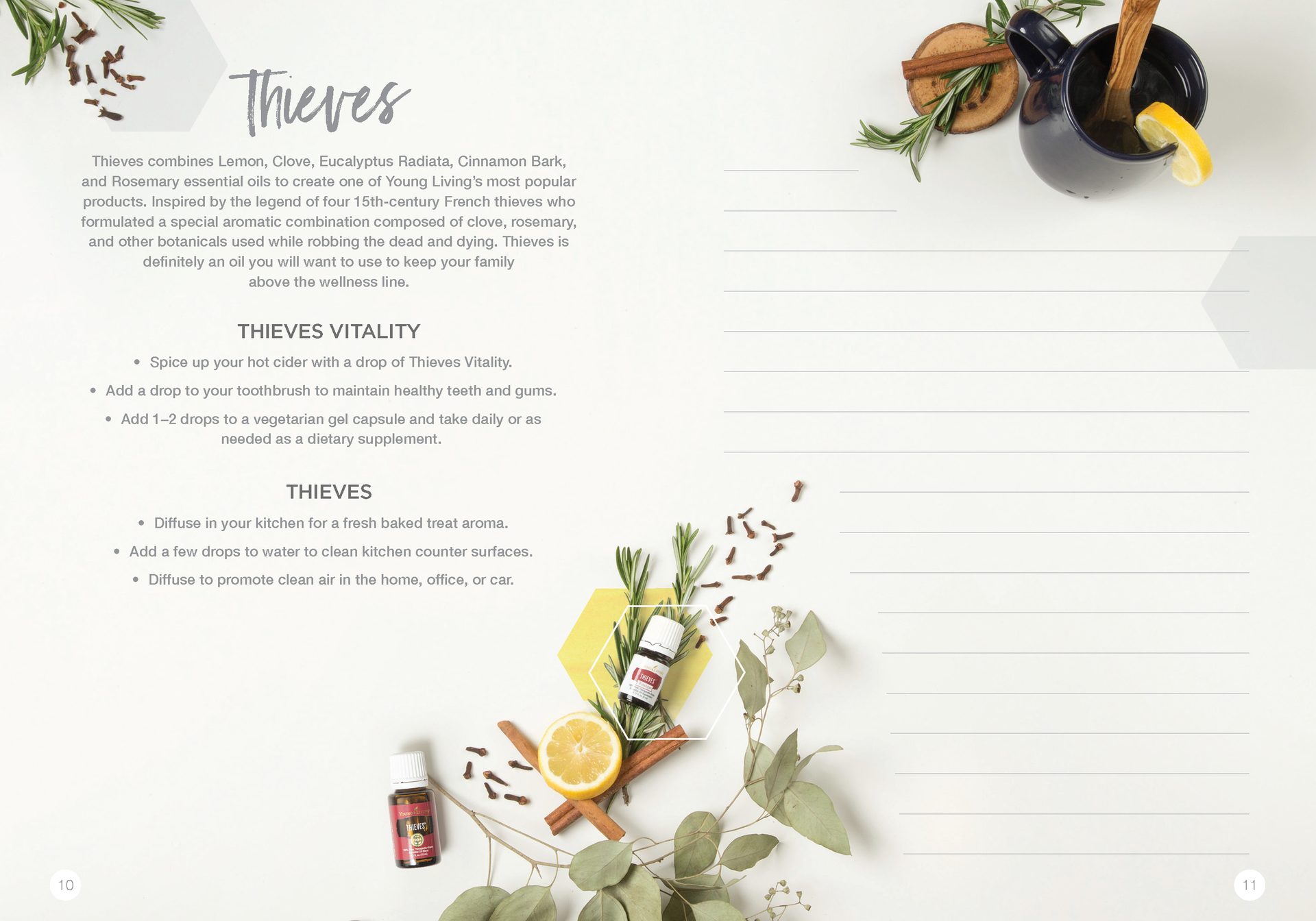Let's Talk Book Series — Essential Oils — image 8