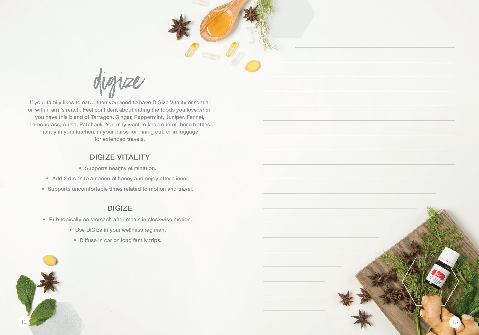 Let's Talk Book Series — Essential Oils — image 9