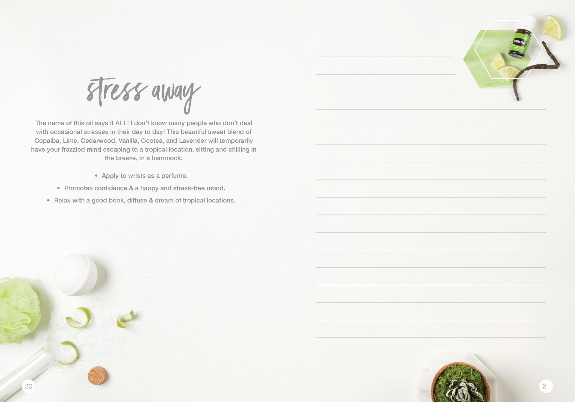 Let's Talk Book Series — Essential Oils — image 13