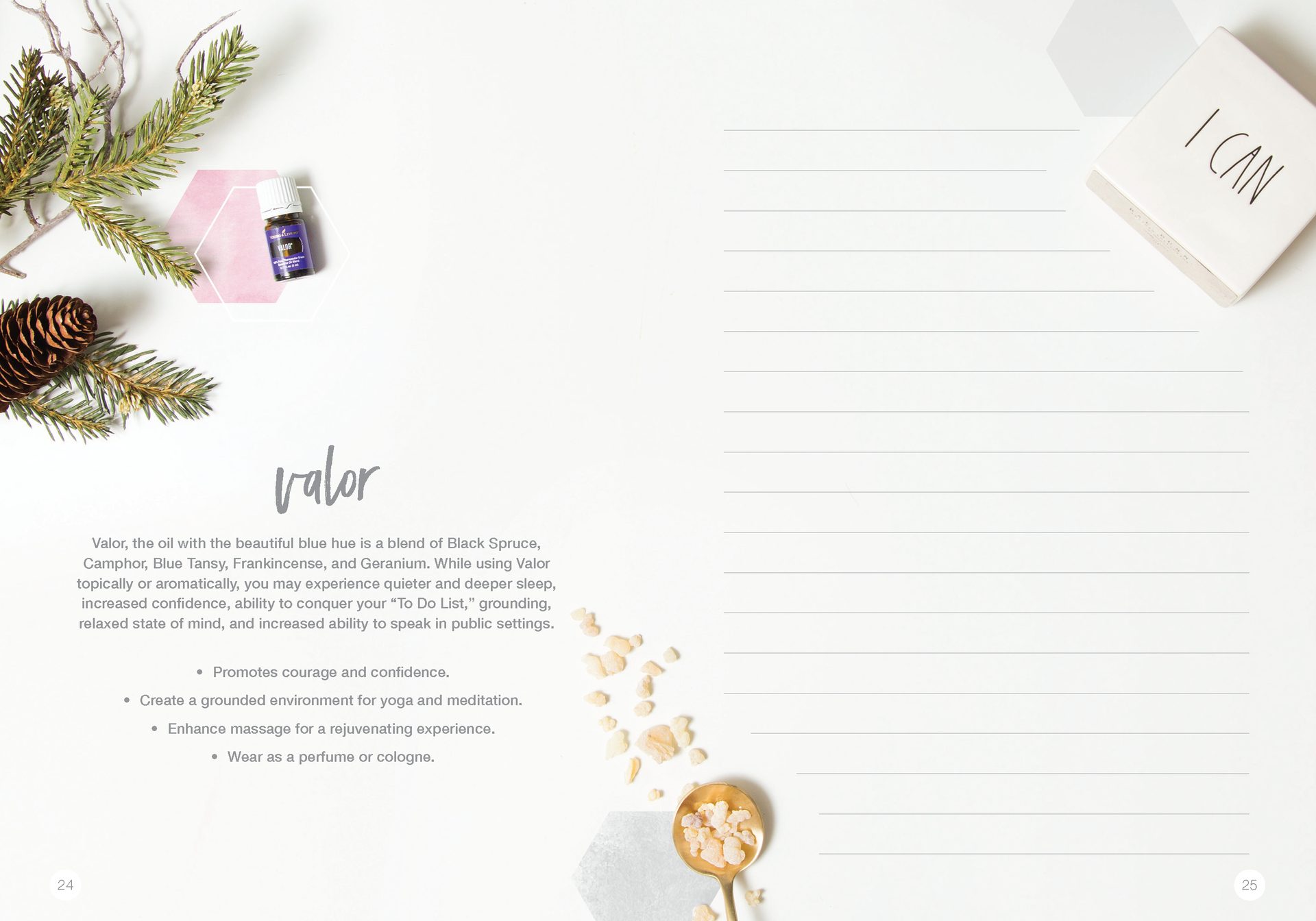 Let's Talk Book Series — Essential Oils — image 15