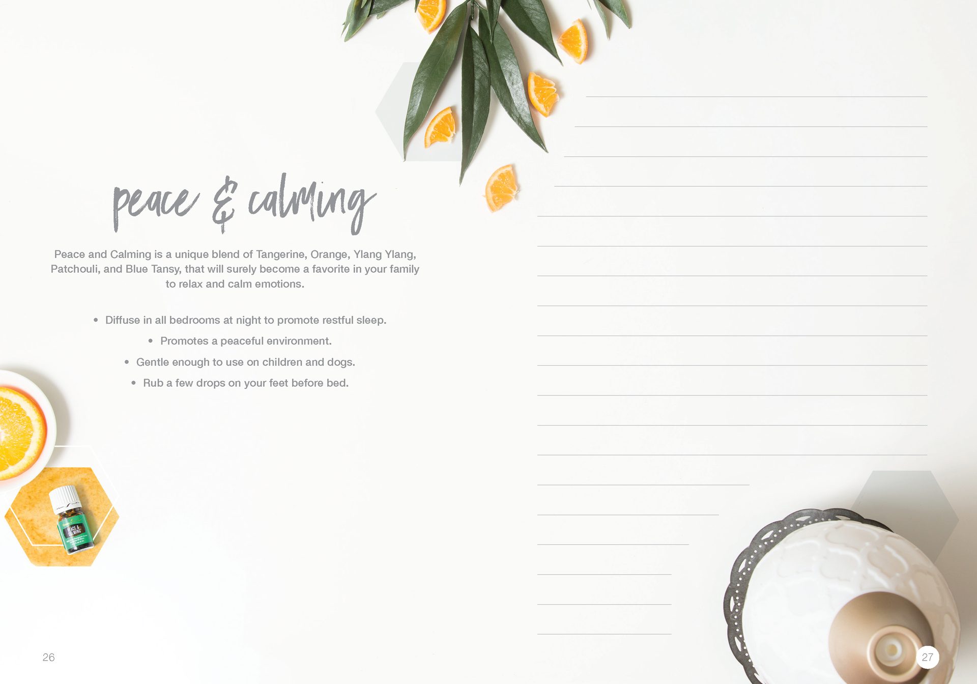 Let's Talk Book Series — Essential Oils — image 16