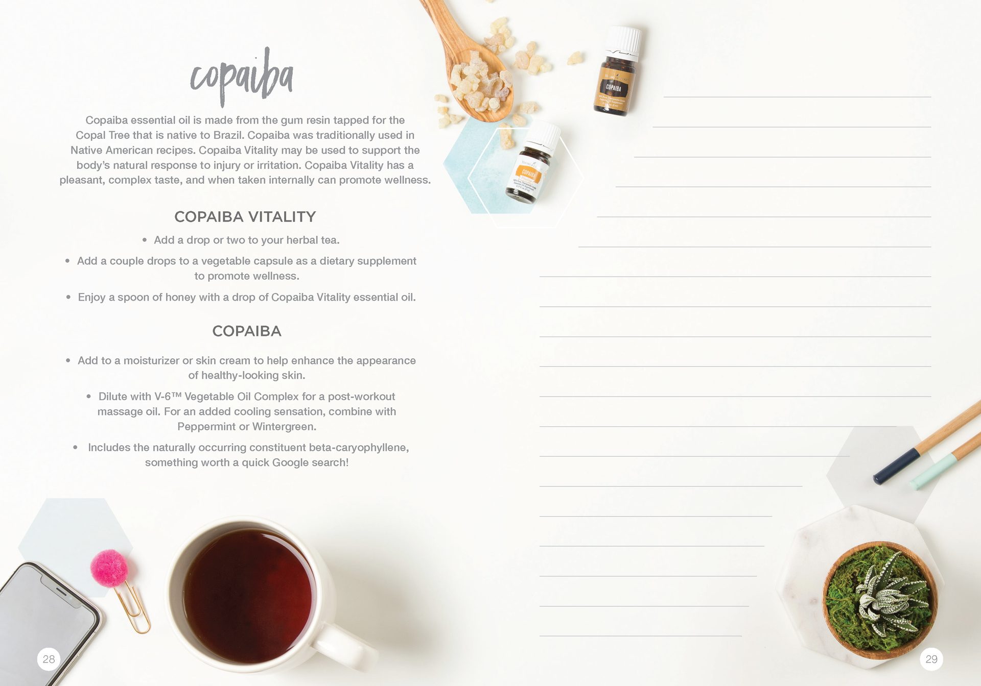 Let's Talk Book Series — Essential Oils — image 17