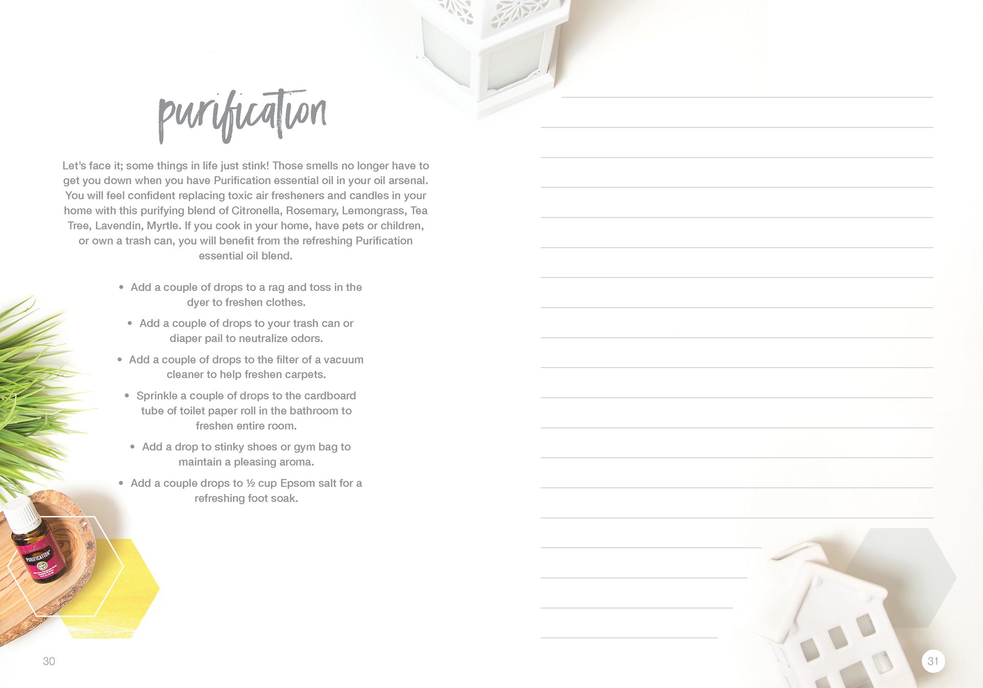 Let's Talk Book Series — Essential Oils — image 18