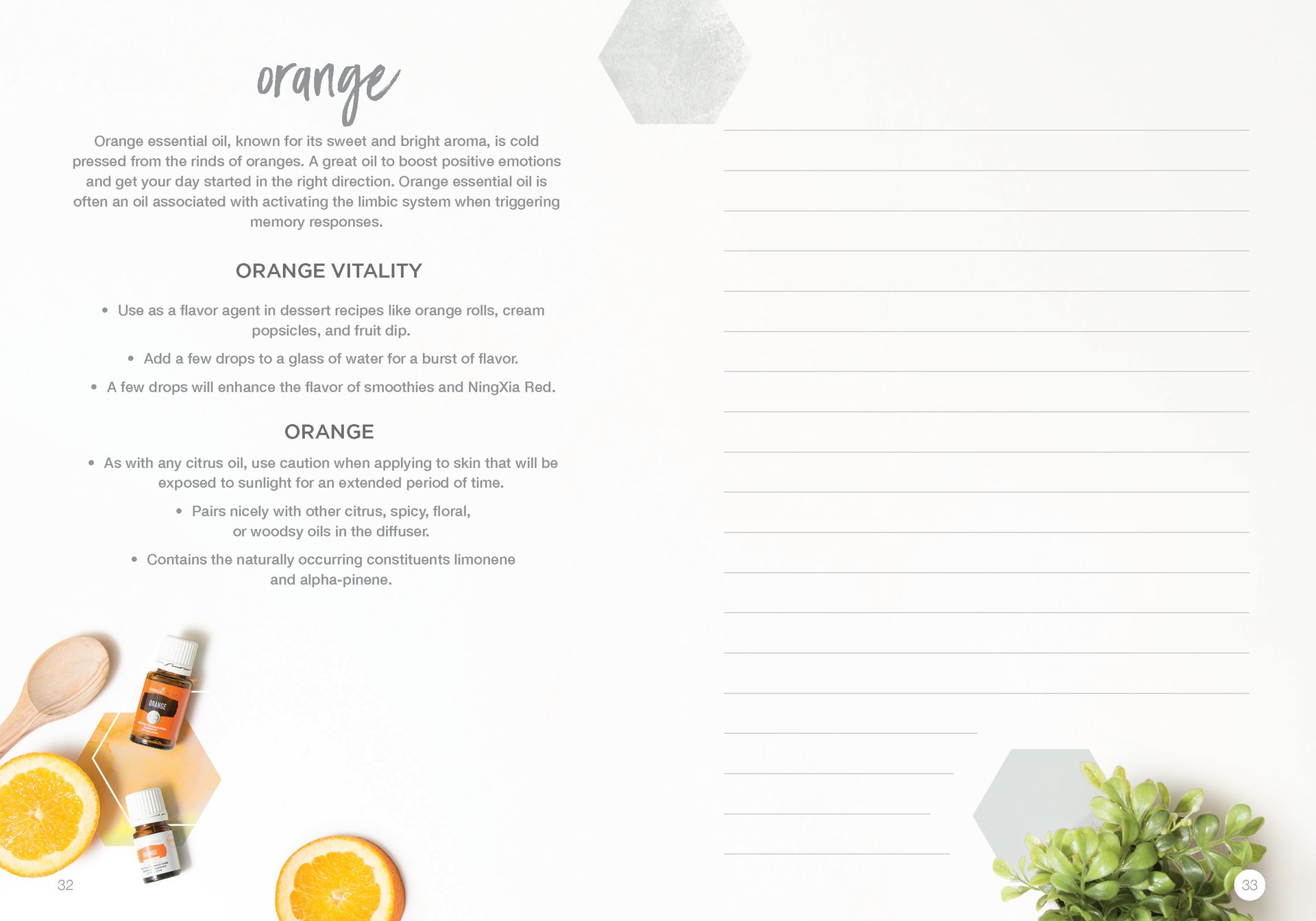Let's Talk Book Series — Essential Oils — image 19