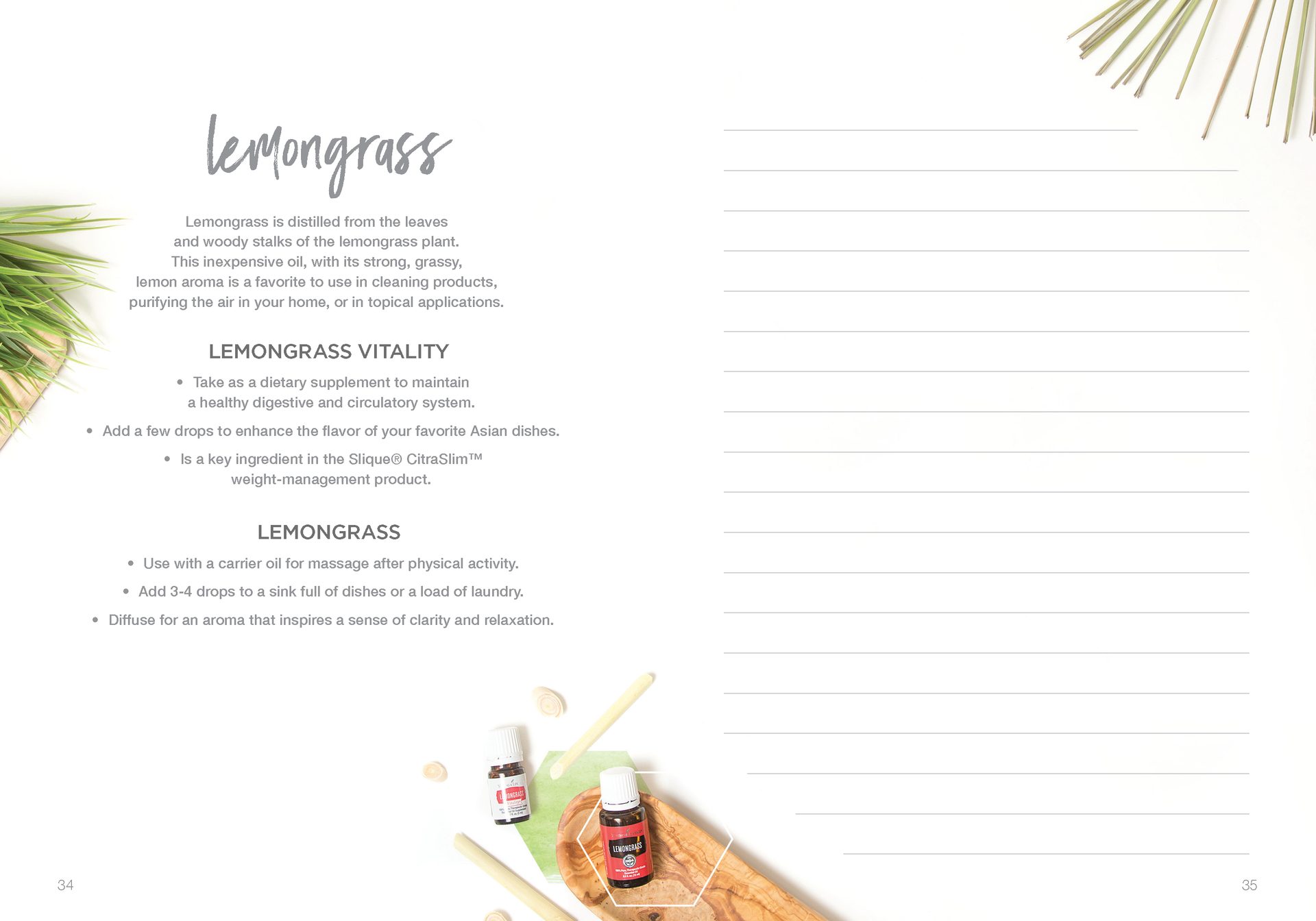 Let's Talk Book Series — Essential Oils — image 20