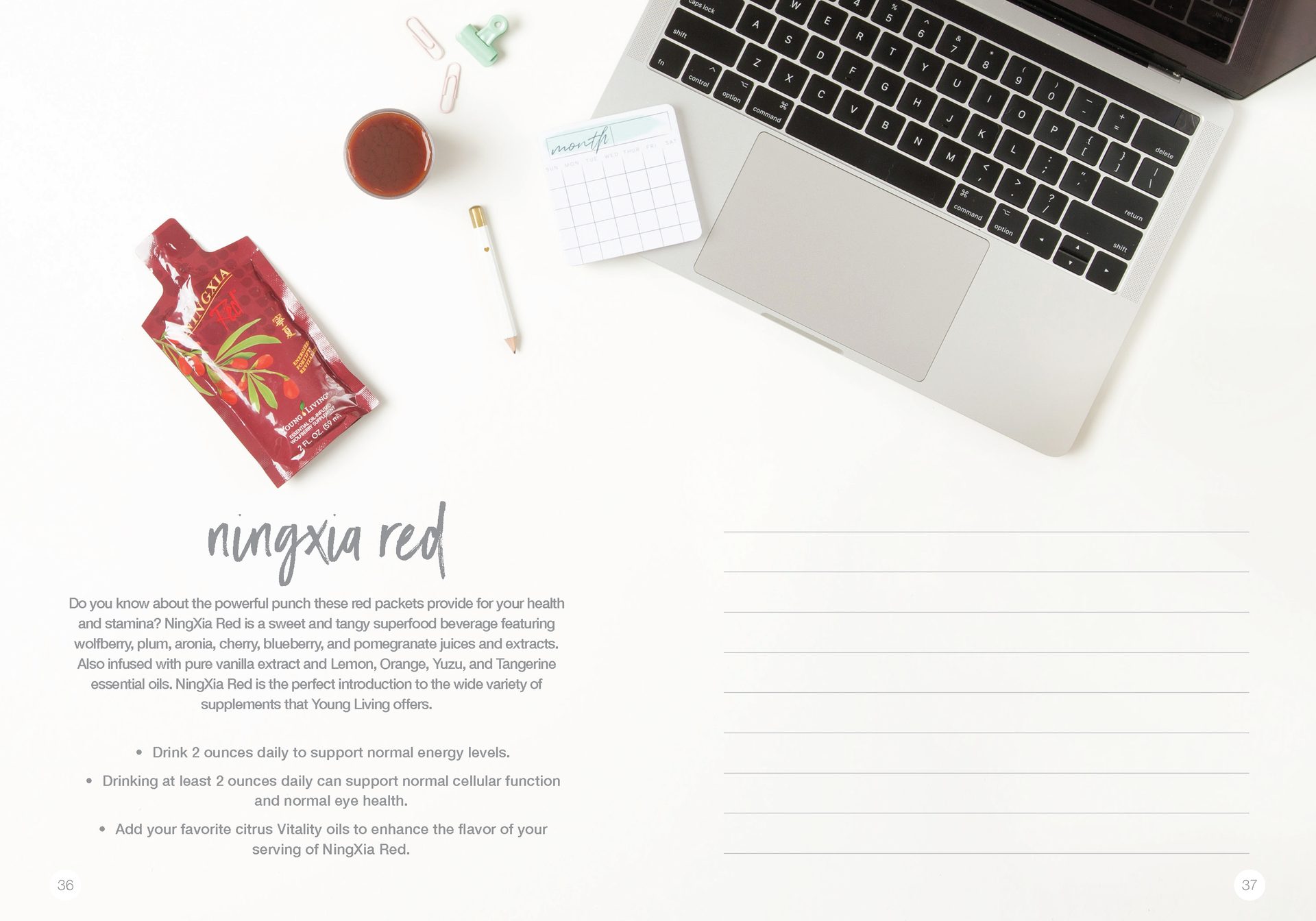 Let's Talk Book Series — Essential Oils — image 21