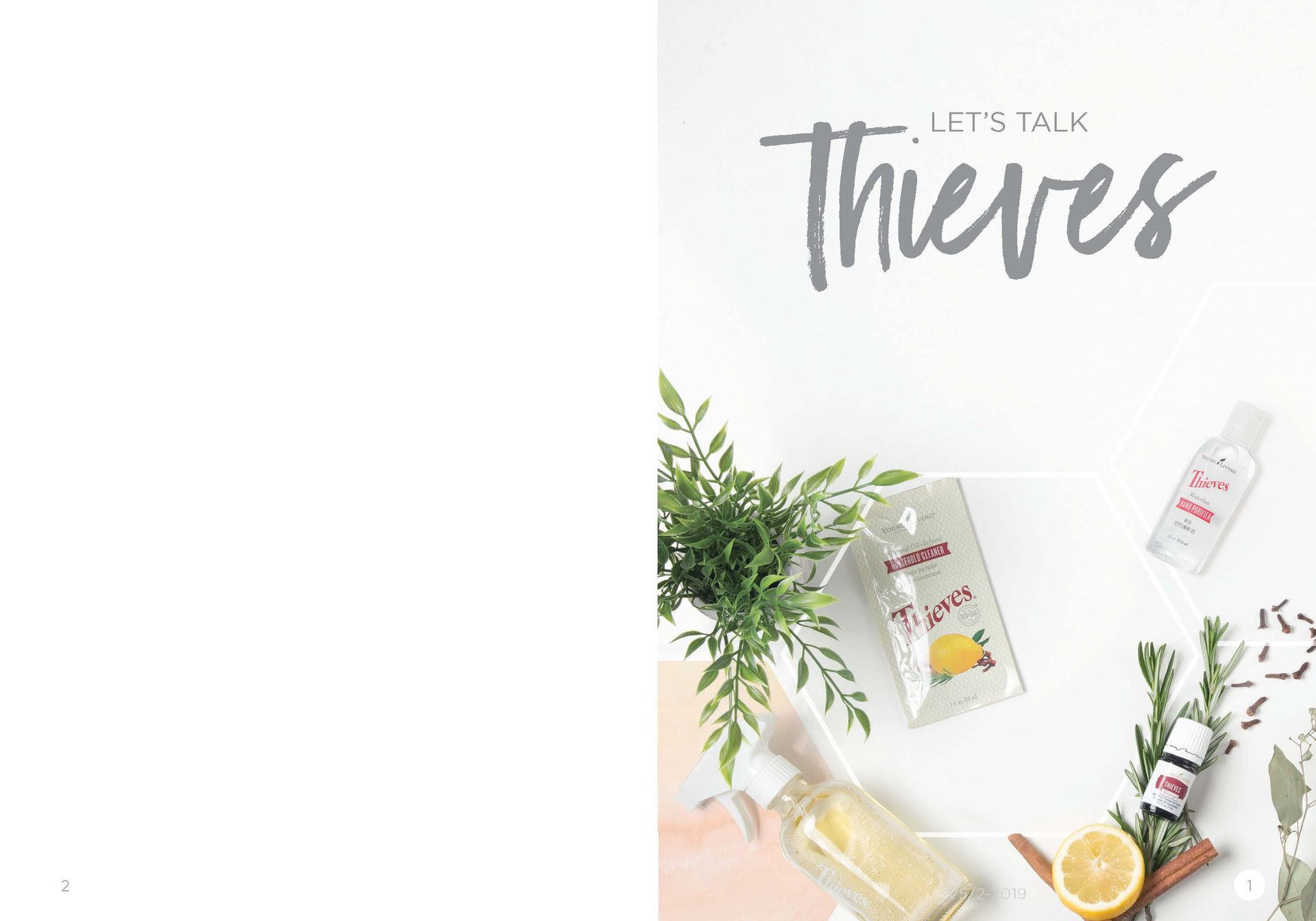 Let's Talk Book Series — Thieves — image 3