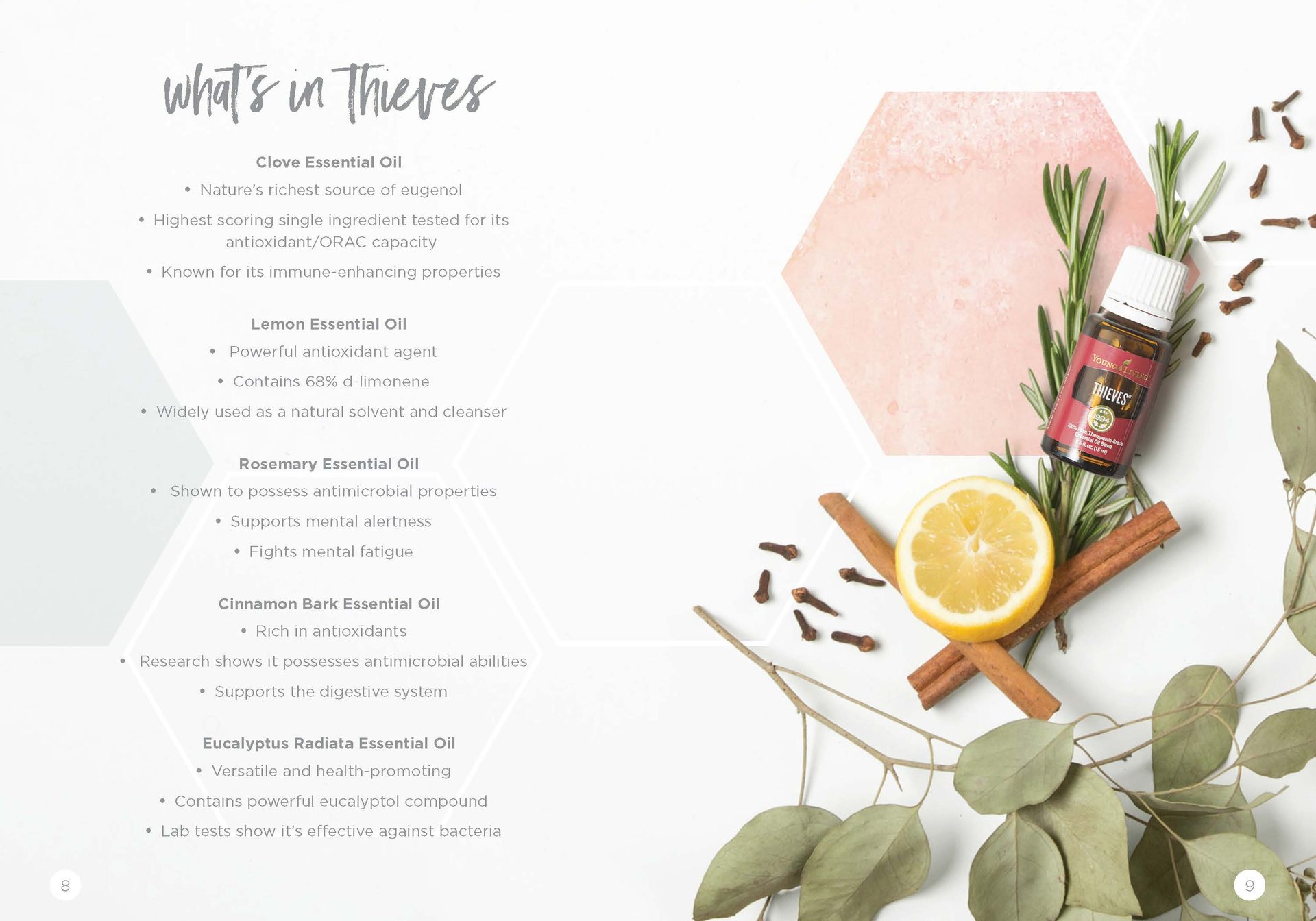 Let's Talk Book Series — Thieves — image 7