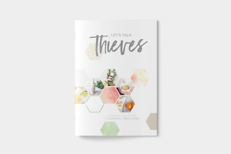 Let's Talk Book Series — Thieves — image 27