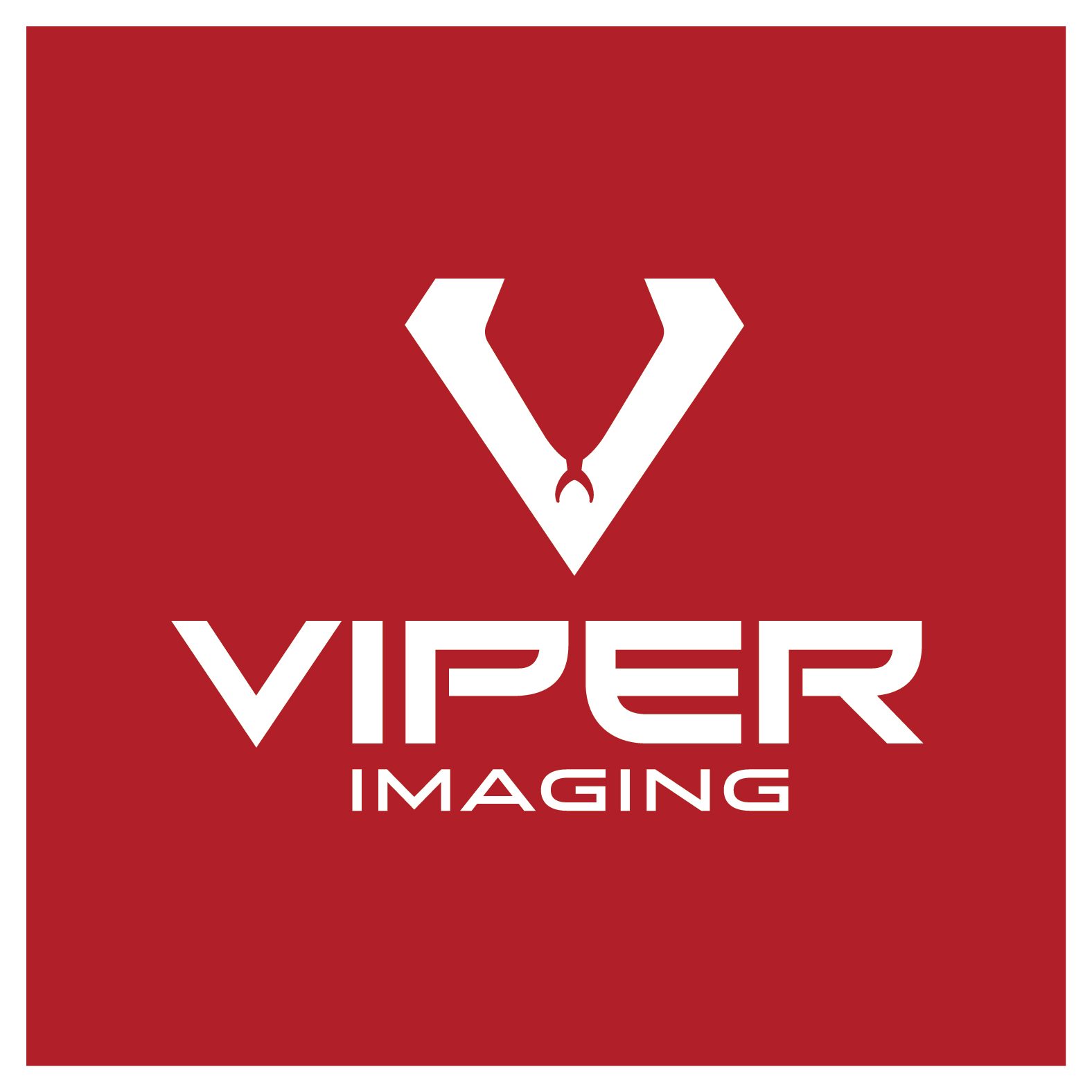 Viper Imaging — image 2