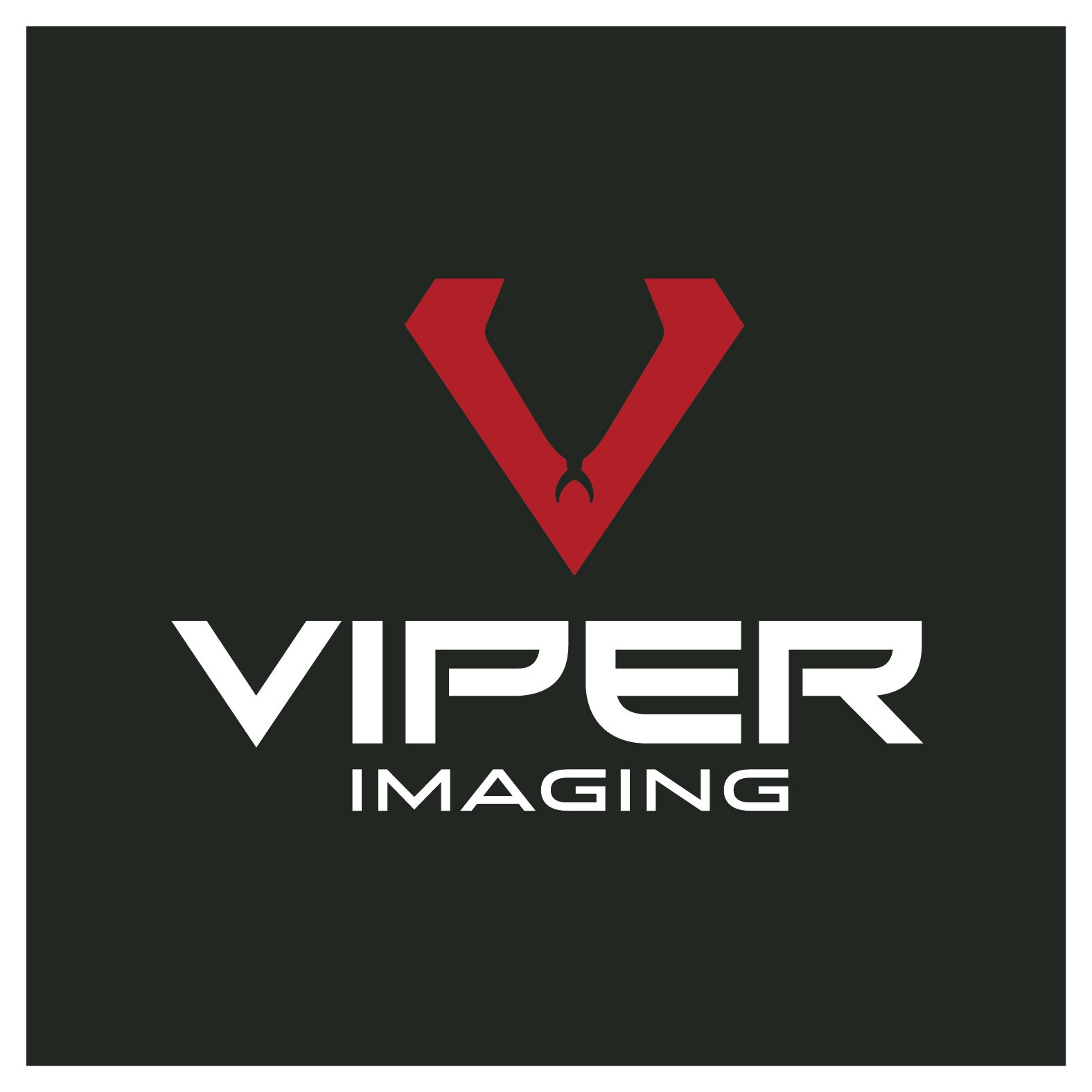 Viper Imaging — image 3